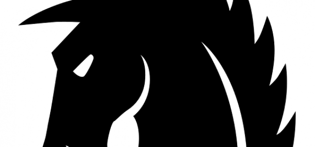 2014: The Year of the Horse!